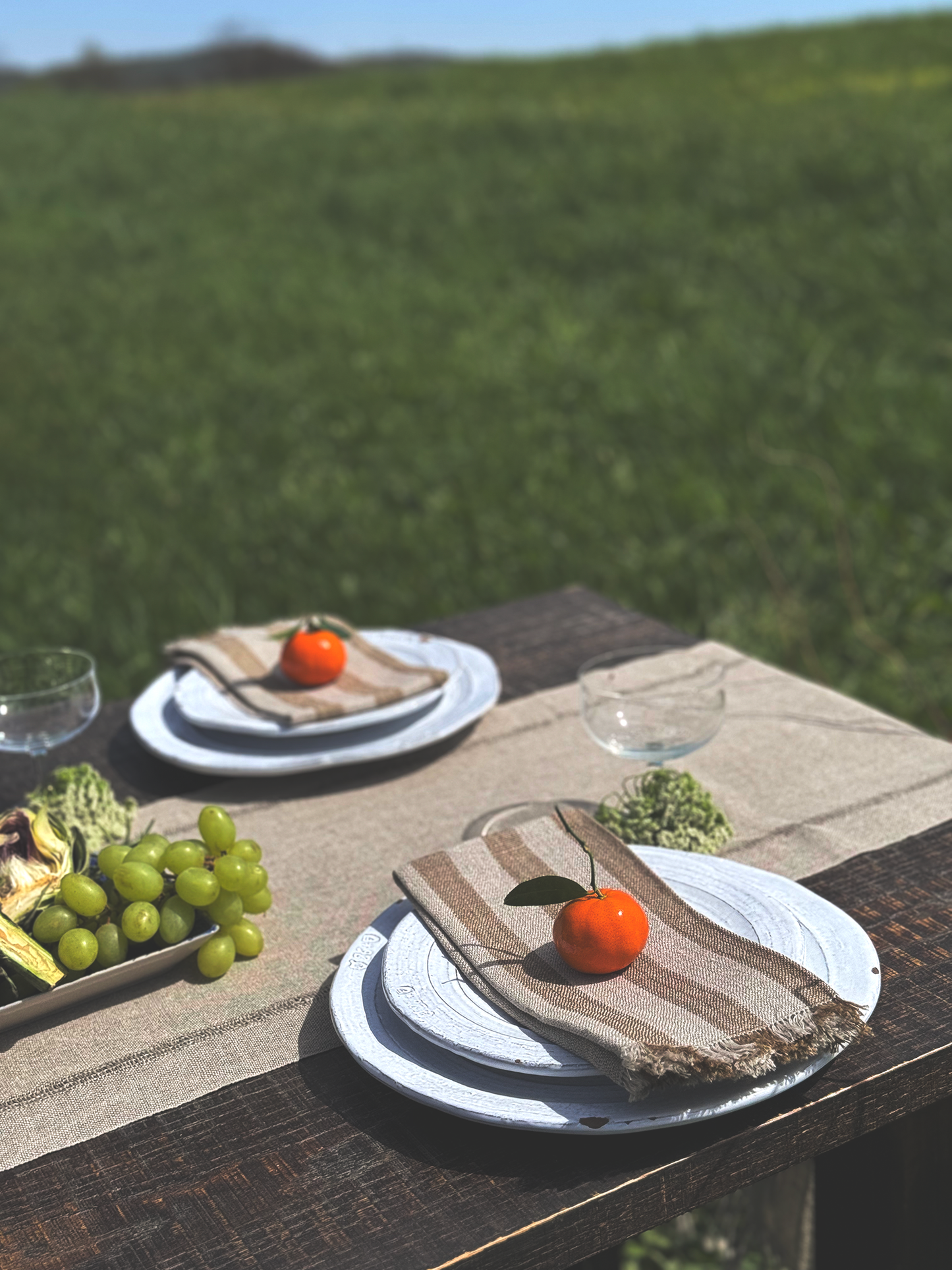 Dinner Napkin in Moss